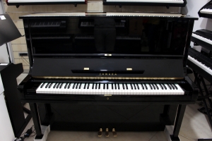 Anteprima